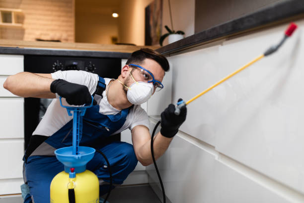 Best Termite Control Services  in Dalzell, SC
