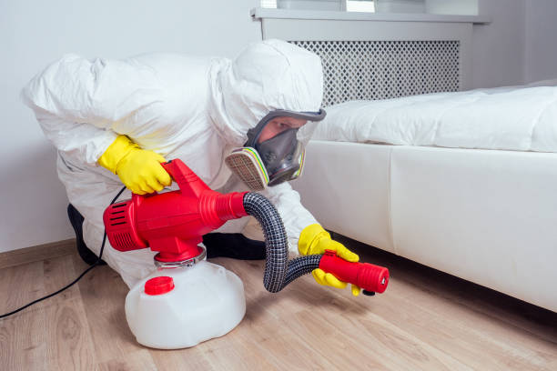 Best Local Pest Control Services  in Dalzell, SC
