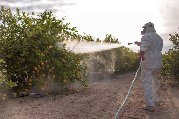 Best Local Pest Control Services  in Dalzell, SC