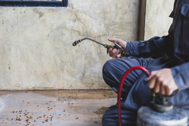 Best Pest Control Near Me  in Dalzell, SC